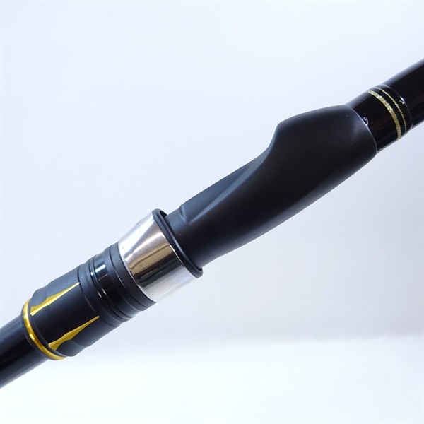 ２１アオリスタ５００